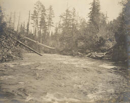 River in the Upper Peninsula (2 of 6)