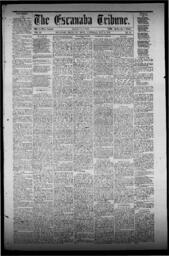 The Escanaba Tribune, 1872-05-11