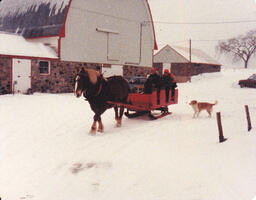 Sleigh Ride (2 of 2)