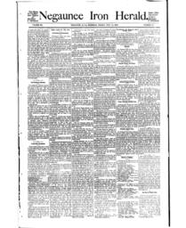 Negaunee Iron Herald, 1893-07-14