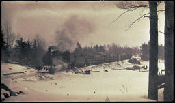 Train Hauling Logs, 1 of 2