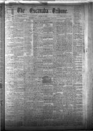 The Escanaba Tribune, 1874-06-06