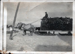 Man Driving a Horse-Drawn Log Sled