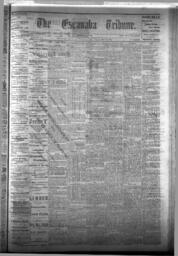 The Escanaba Tribune, 1876-05-06