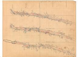 Champion Mine Sublevels South 42-44 Geologic Survey Maps (9 of 9)