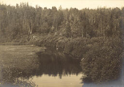 River in the Upper Peninsula (5 of 6)