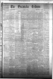 The Escanaba Tribune, 1873-01-25