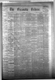 The Escanaba Tribune, 1875-11-13