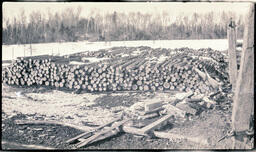 Log Piles