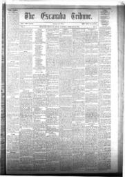 The Escanaba Tribune, 1874-02-14