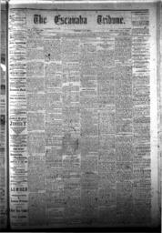 The Escanaba Tribune, 1877-06-23