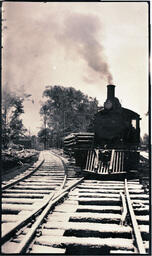 Incoming Logging Train in Winter