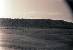 (095-010) Fields on the Hawley Farm (3 of 4)