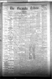 The Escanaba Tribune, 1876-05-27