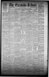 The Escanaba Tribune, 1871-07-22