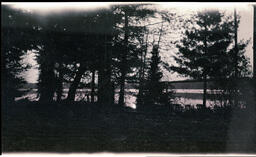 Forest and Water Landscape