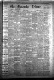 The Escanaba Tribune, 1877-02-17