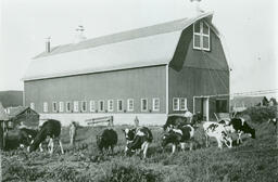 Morgan Cedar and Lumber Company's new barn