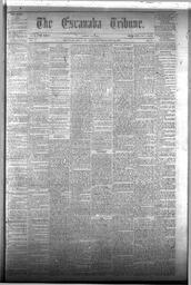 The Escanaba Tribune, 1873-05-24