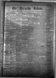 The Escanaba Tribune, 1877-02-10