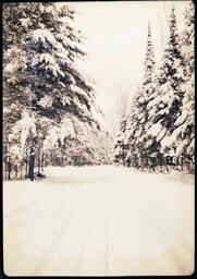 (023-007) Road in Forest in Winter (1 of 3)