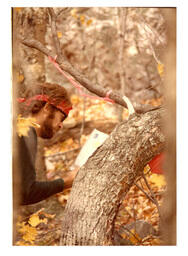 Competitor Writing on Piece of Paper in Woods (Part of the NMU Historic Photographs Collection)