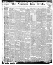 Negaunee Iron Herald, 1881-12-29