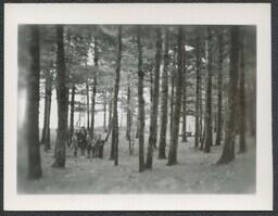 (039-010) Group of Children Standing in the Woods