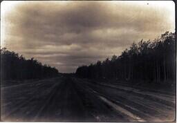 (012-011) Muddy Dirt Road Lined with Trees