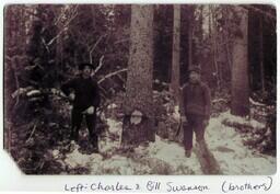 Charles and Bill Swanson Cutting Down Tree