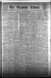 The Escanaba Tribune, 1873-05-31