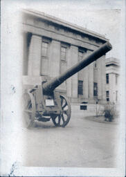 Cannon on Display