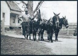 Charles Swanson with Horses