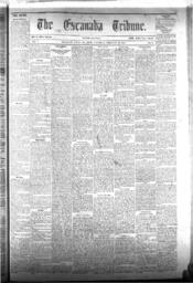 The Escanaba Tribune, 1874-02-21