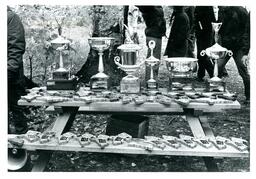 Picnic Table in Woods Covered in Trophies and Plaques (Part of the NMU Historic Photographs Collection)